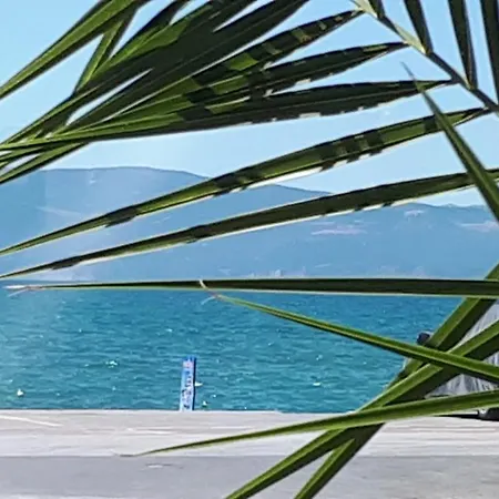 Penelopa * Ohrid